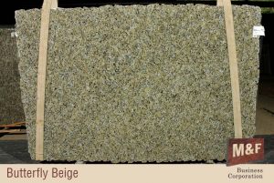 Butterfly Beige - Exotic